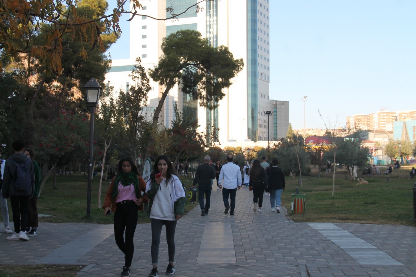 Urfa’da fakülte mezunu sayısı kaç?;