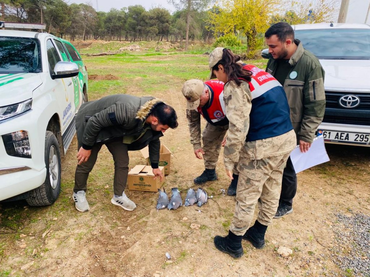 Ceylanpınar’da yasa dışı yollarla avcılık yapan şahsa ceza kesildi