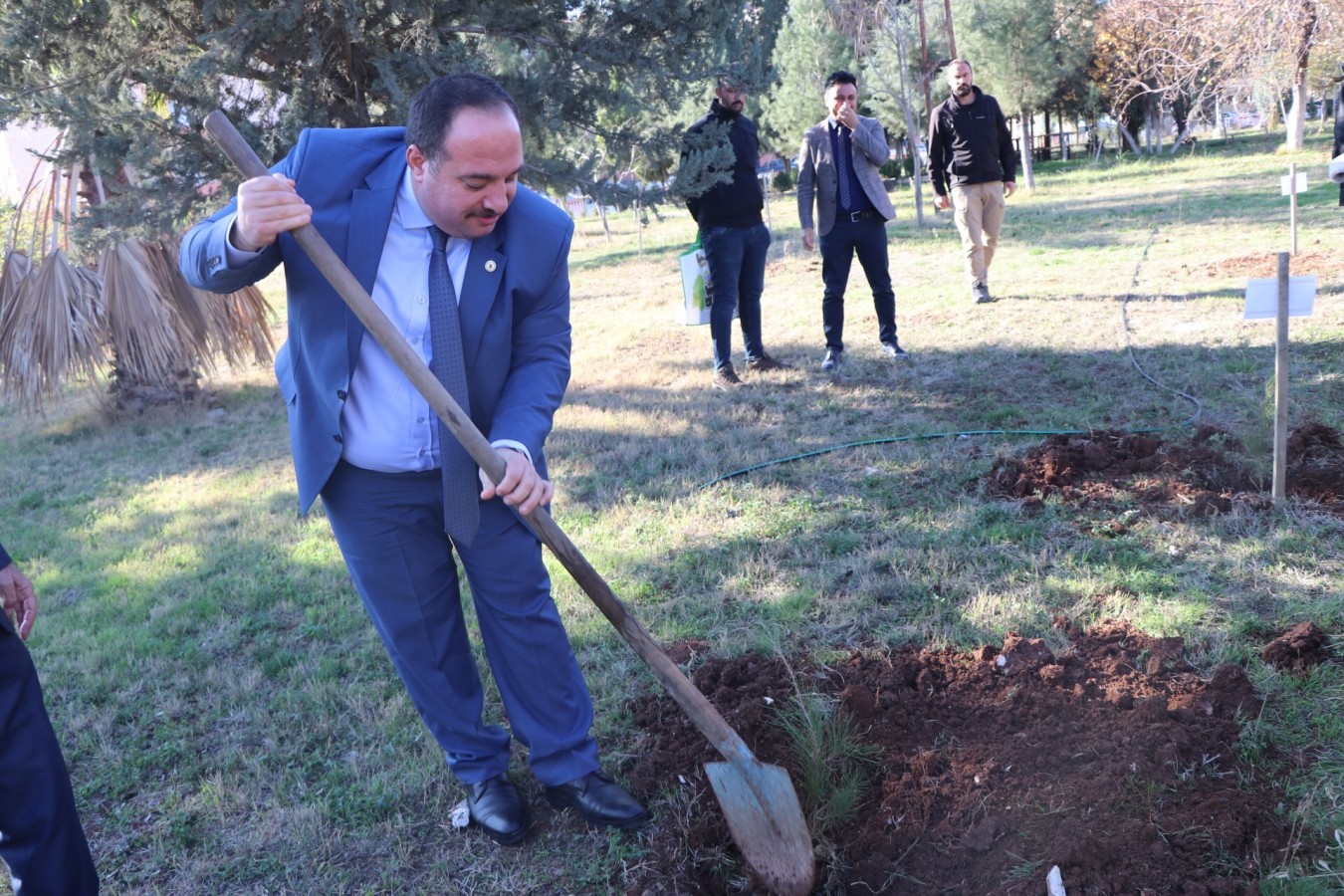 Ekinci okul bahçesine fidan dikti