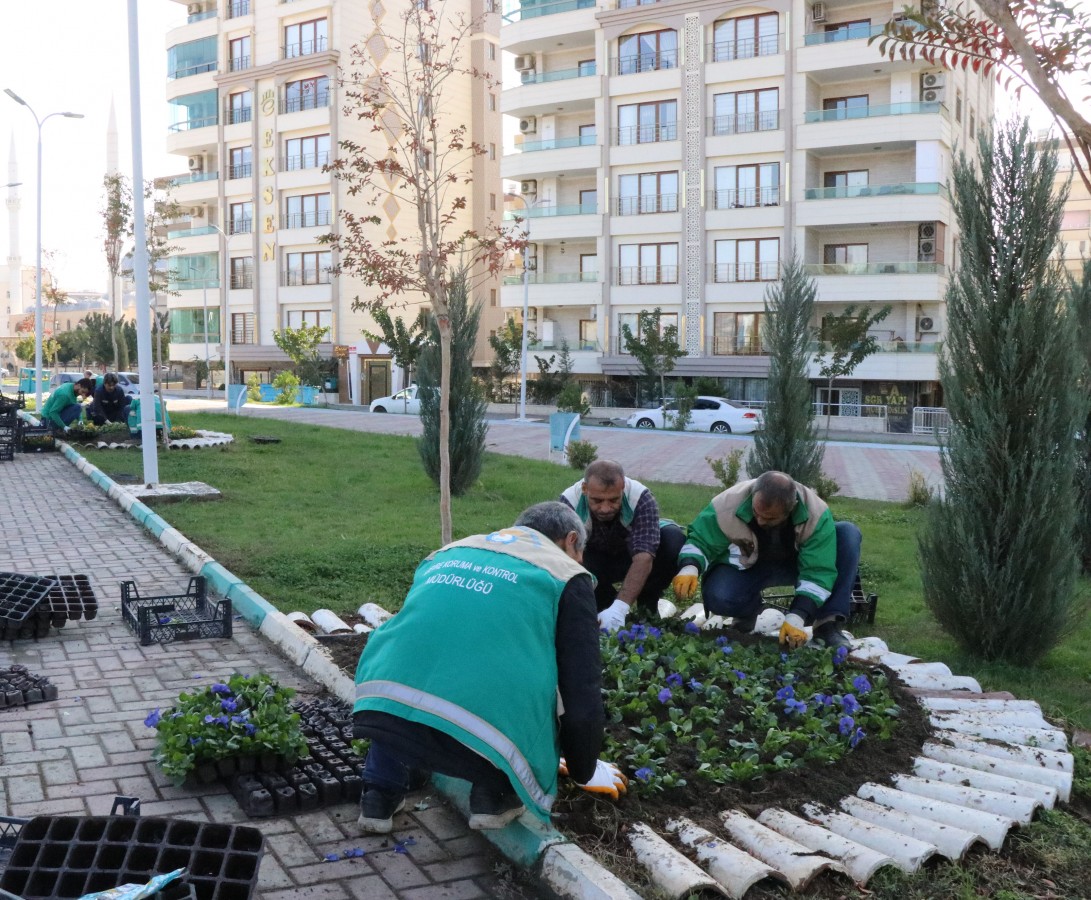 Haliliye çiçeklerle güzelleşiyor