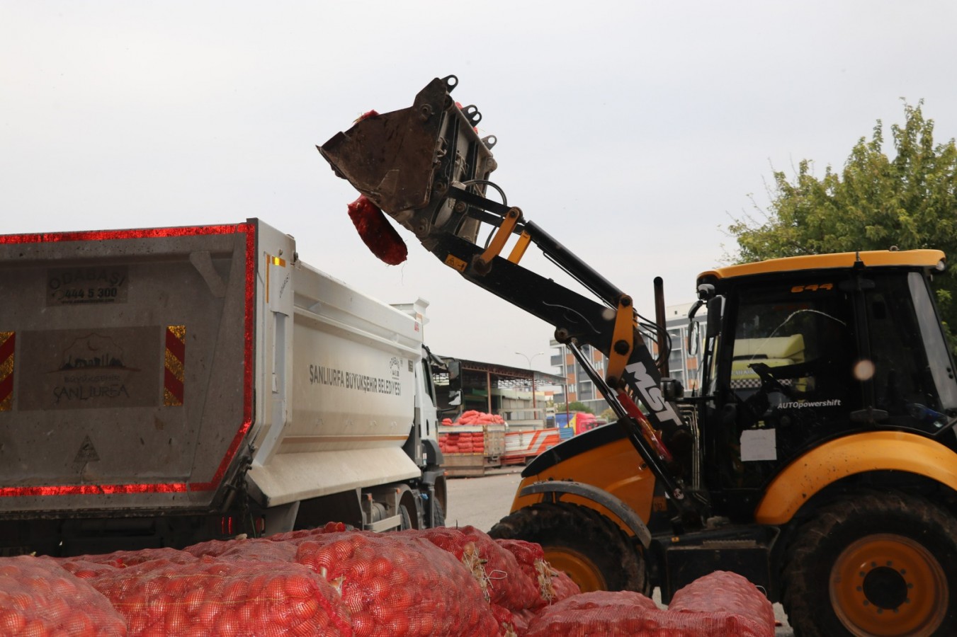 Şanlıurfa’da 22 ton soğan imha edildi