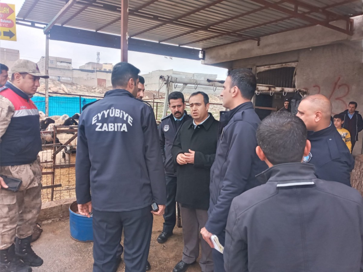 Şanlıurfa’da kaçak hayvan kesimine taviz yok