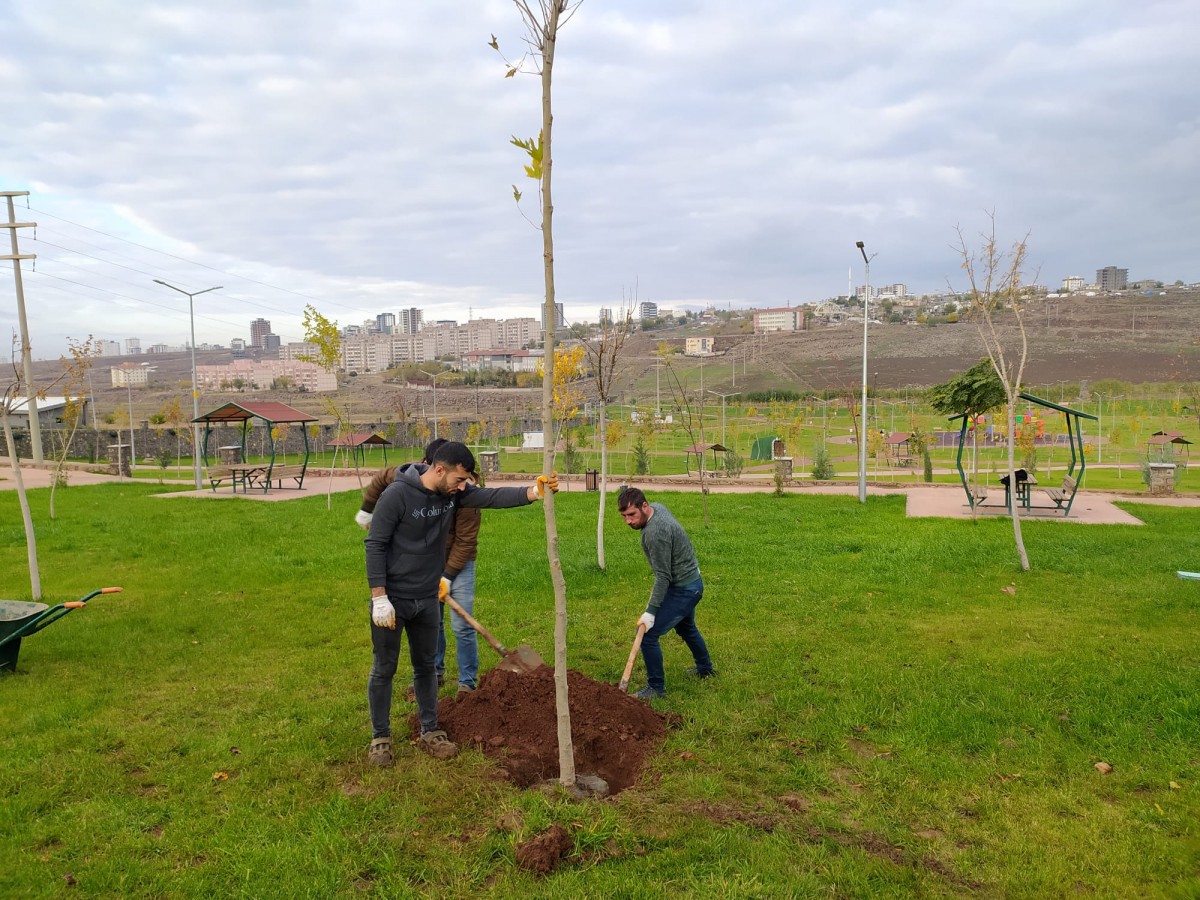 Siverek’te park ve bahçelere yeni ağaçlar dikildi