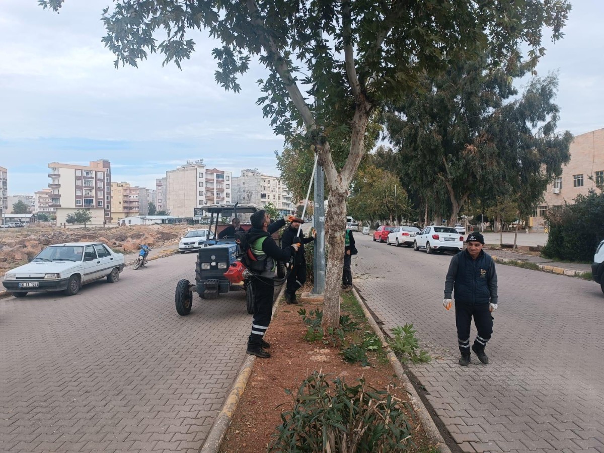 Viranşehir’de yeşil alanlarda bakım çalışması